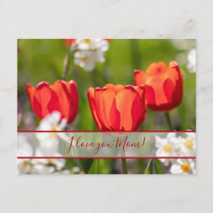 Postal ¡Por la mejor mamá del mundo!