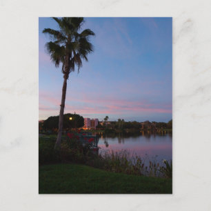 Postal Por La Noche Junto A La Palmera