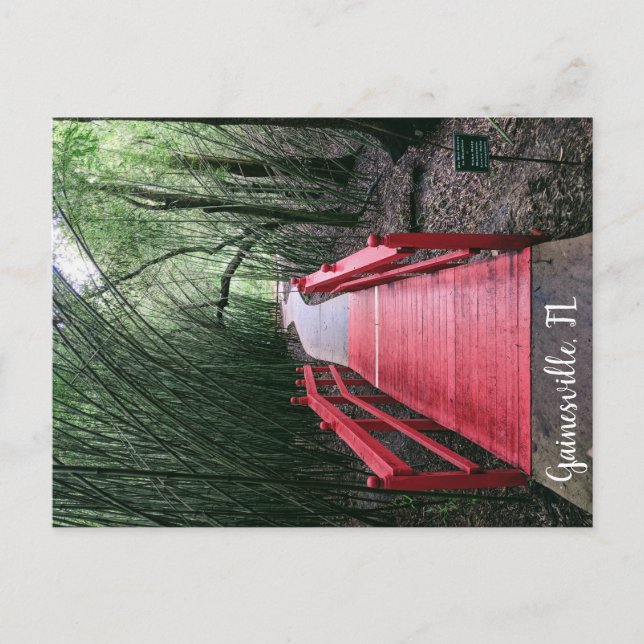 Postal Por la tarde Wandering (Anverso)