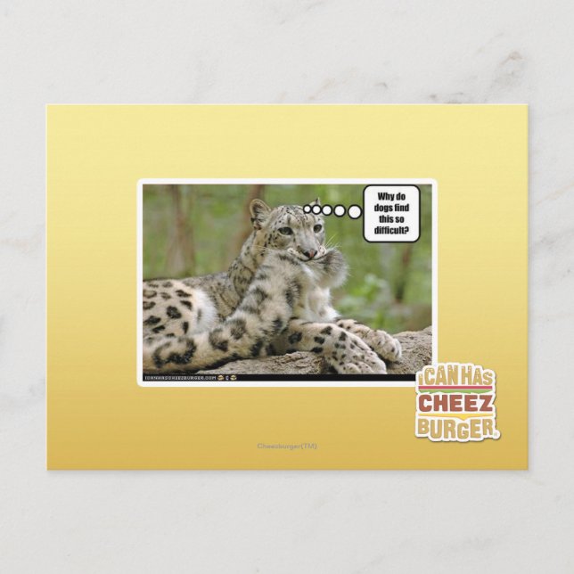 Postal ¿Por qué a los perros les resulta tan difícil? (Anverso)