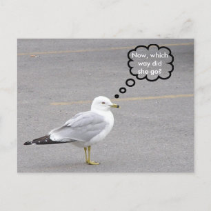 Postal ¿Por qué camino?