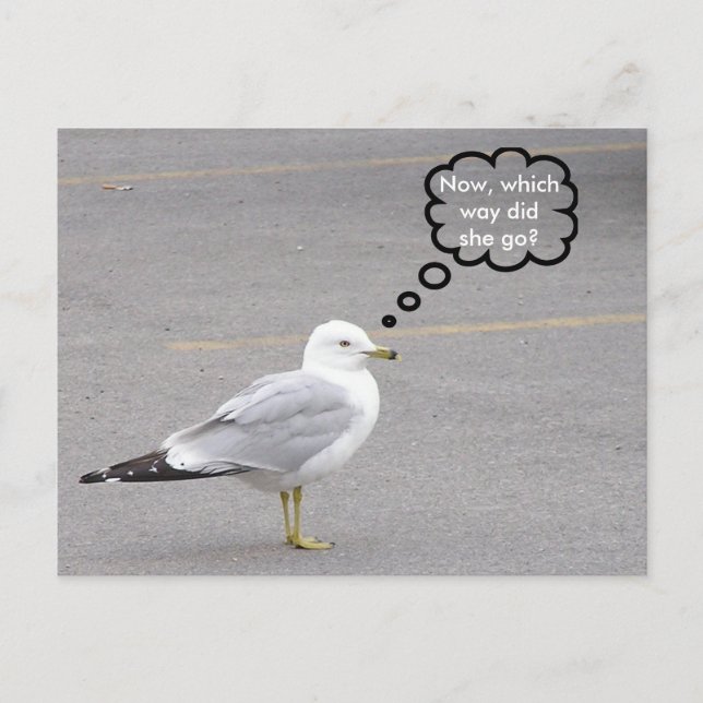 Postal ¿Por qué camino? (Anverso)