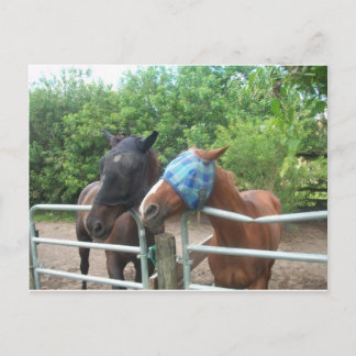 Postal ¿Por qué camino se fue?