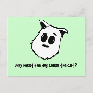 Postal ¿Por qué el perro debe perseguir al gato?