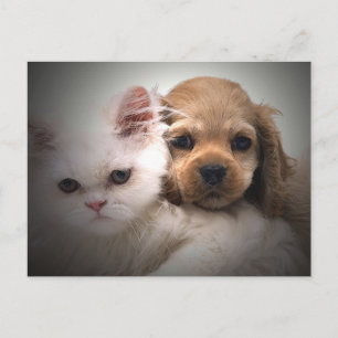 Postal ¿Por qué no podemos ser amigos?