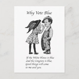 Postal Por qué votar totalmente azul en 2028