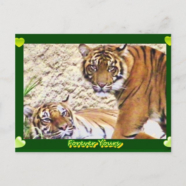 Postal Por siempre que sea suyo_ (Anverso)