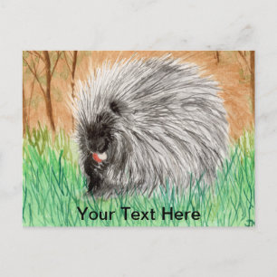 Postal Porcupina
