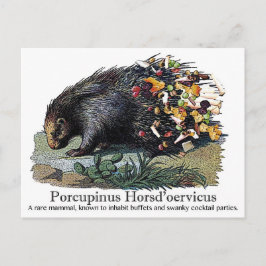 Postal Porcupinus Hoerd'oervicus