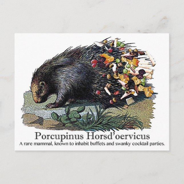 Postal Porcupinus Hoerd'oervicus (Anverso)