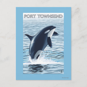 Postal Port Townsend, WashingtonOrca Jumping