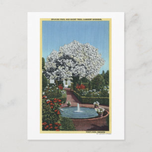 Postal Portland, Oregón - Piscina española y árbol fantas