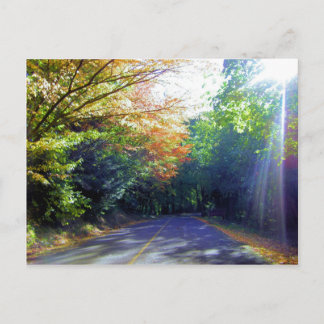 Postal Portland, Oregon Road hasta el jardín Rosa