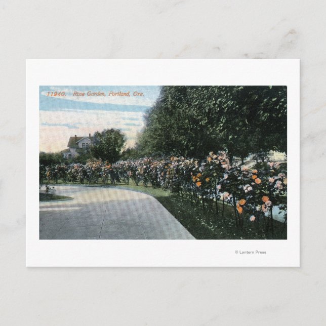 Postal Portland, OregonView of a Rosa Garden (Anverso)