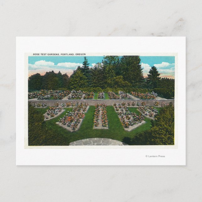 Postal Portland, OregonView of the Rosa Test Gardens (Anverso)