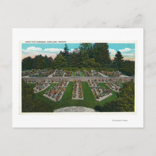 Postal Portland, OregonView of the Rosa Test Gardens