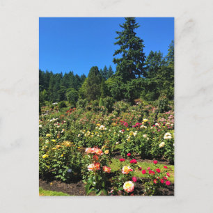 Postal Portland Rosa Garden, OR