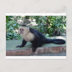 Postal Portrait.JPG