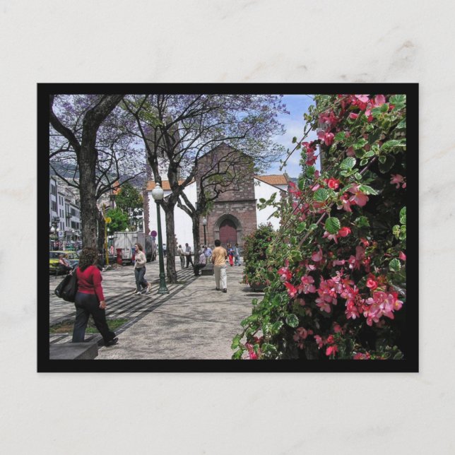 Postal (Portugal) Funchal, Madeira Postcard (Anverso)