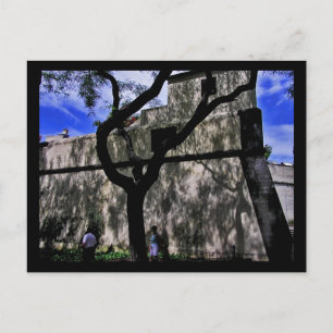 Postal (Portugal) Funchal, Madeira Postcard