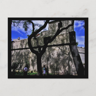 Postal (Portugal) Funchal, Madeira Postcard
