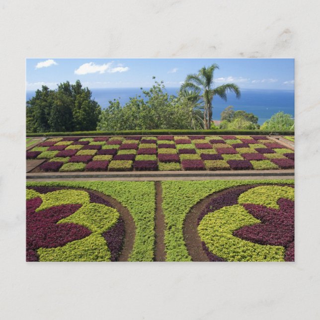 Postal Portugal, Isla de Madeira, Funchal. Botánico (Anverso)