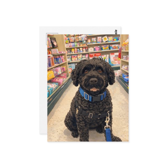 Postal Portuguese Water Dogs Kawaii Anime Postcard (Anverso/Reverso In Situ)