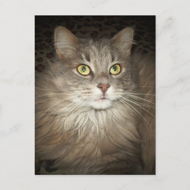 Postal Posando (Anverso)