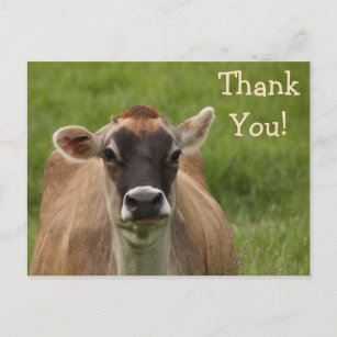 Postal Poscarta de Bossy Cow