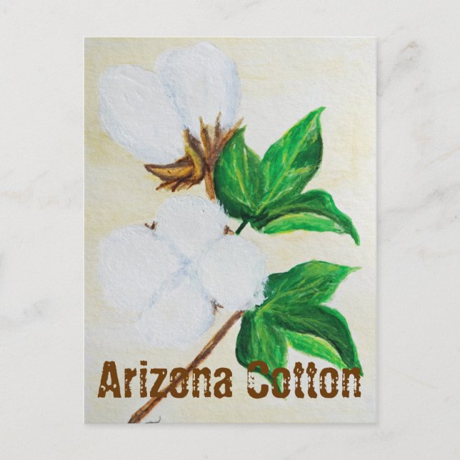 Postal Poscarta de datos sobre el algodón de Arizona (Anverso)