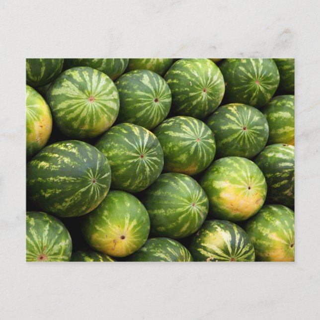 Postal Poscarta de montones de sandías (Anverso)