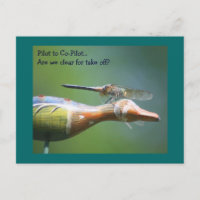 Poscarta humorística de Dragonfly Co Pilot