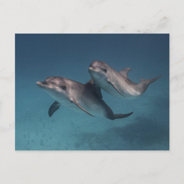 Postal Pose Jugador (Anverso)