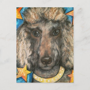 Postal Posh Poodle