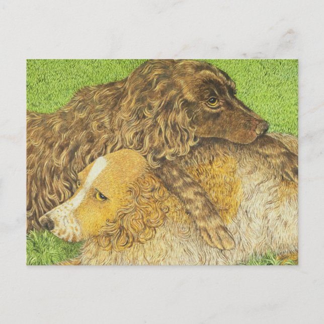 Postal Posología (Anverso)