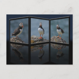 Postal Posposición de Puffin