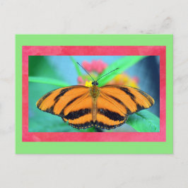Postal pospuesta con mariposa