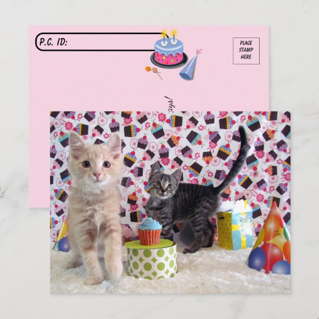 Postal Possección - Cumpleaños más feliz - Gato (Anverso / Reverso)