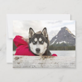 Postal Possección del Lago Husky Mountains
