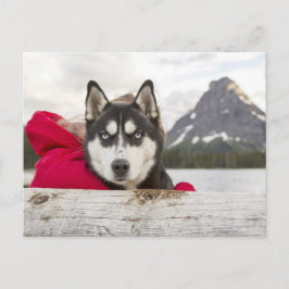 Postal Possección del Lago Husky Mountains