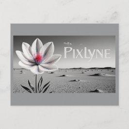 Postal Post Card (andrew)