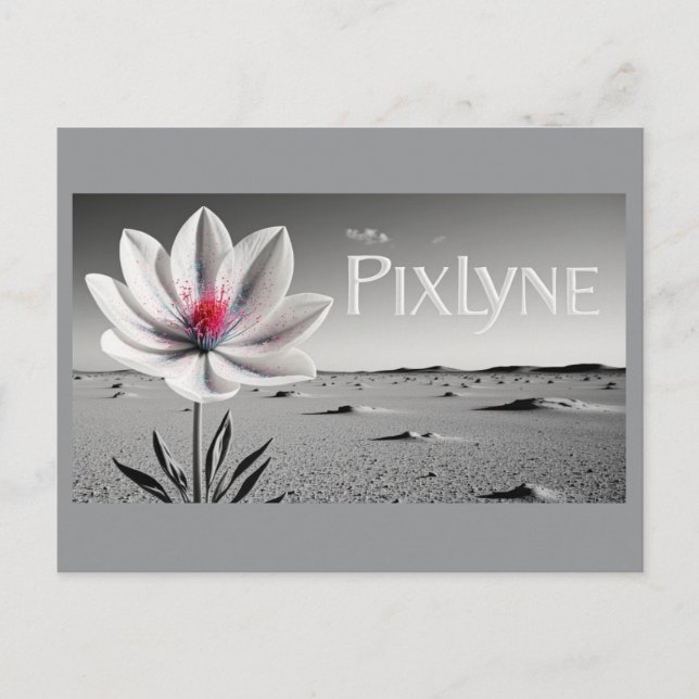 Postal Post Card (andrew) (Anverso)