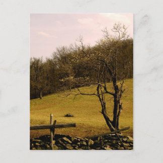 Postal POST CARD Appalachian Trail
