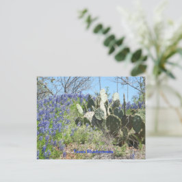 Postal Post-card Country Texas Bluebonnets y Cactus