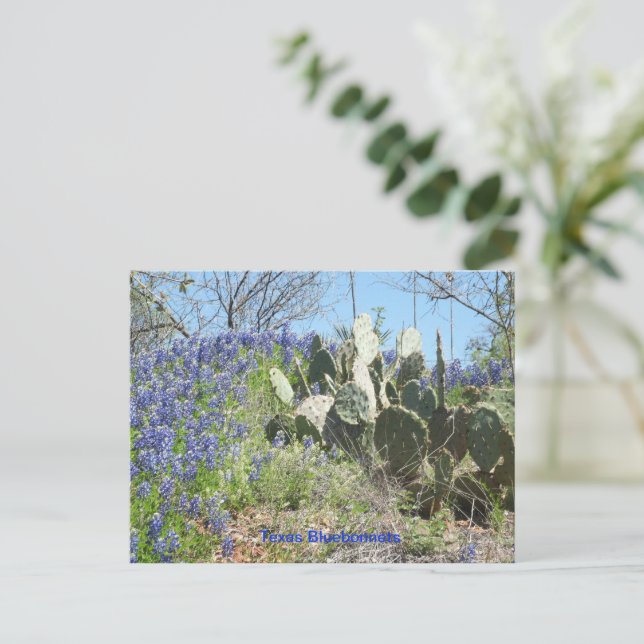 Postal Post-card Country Texas Bluebonnets y Cactus (Anverso de pie)