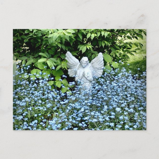 Postal Post Card From The Heart (Anverso)