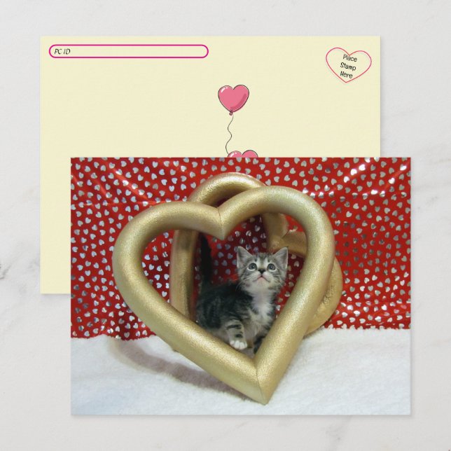 Postal Post-Cross - Amor, Lilo - Gato / Corazón gatito (Anverso / Reverso)