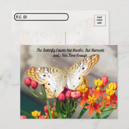 Postal Post-Cross - Cita de mariposa de pavo real blanca