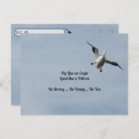 Post-Cross ID Box - American White Pelican