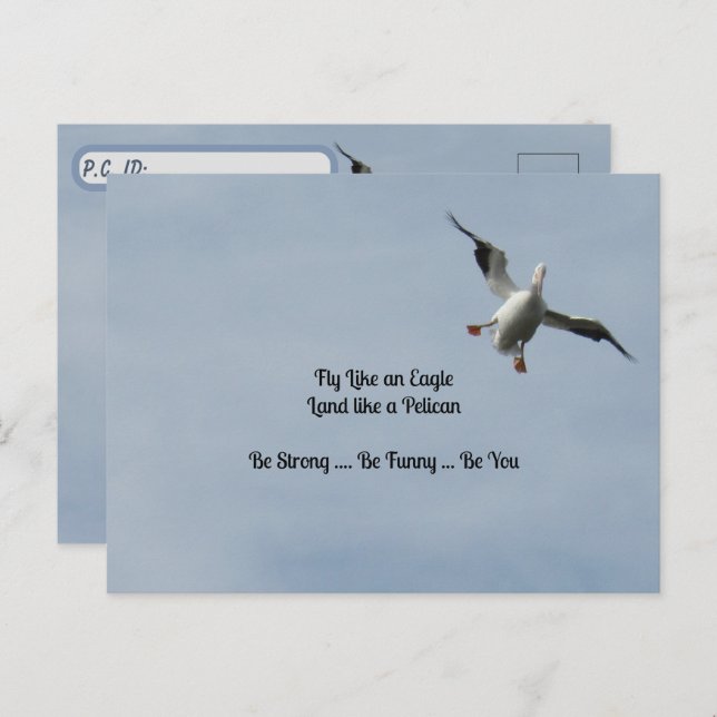 Postal Post-Cross ID Box - American White Pelican (Anverso / Reverso)